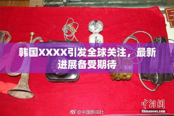 韩国XXXX引发全球关注，最新进展备受期待
