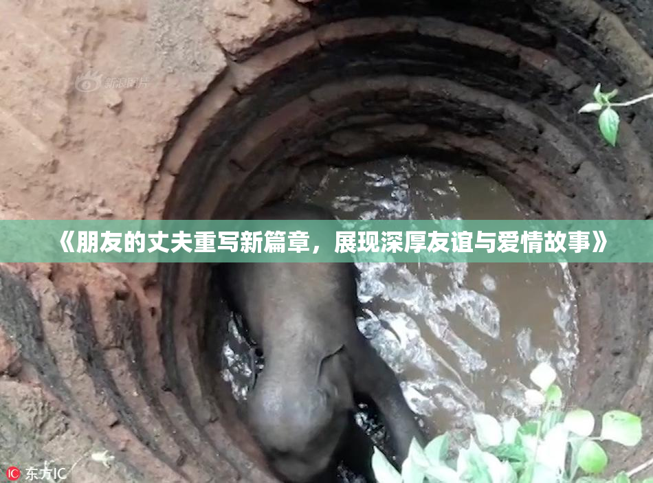 《朋友的丈夫重写新篇章，展现深厚友谊与爱情故事》
