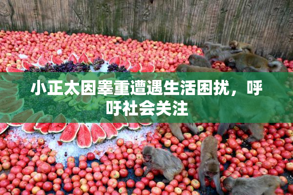 小正太因睾重遭遇生活困扰，呼吁社会关注