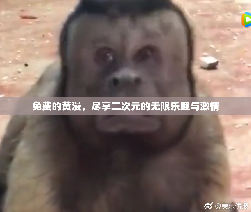 免费的黄漫，尽享二次元的无限乐趣与激情
