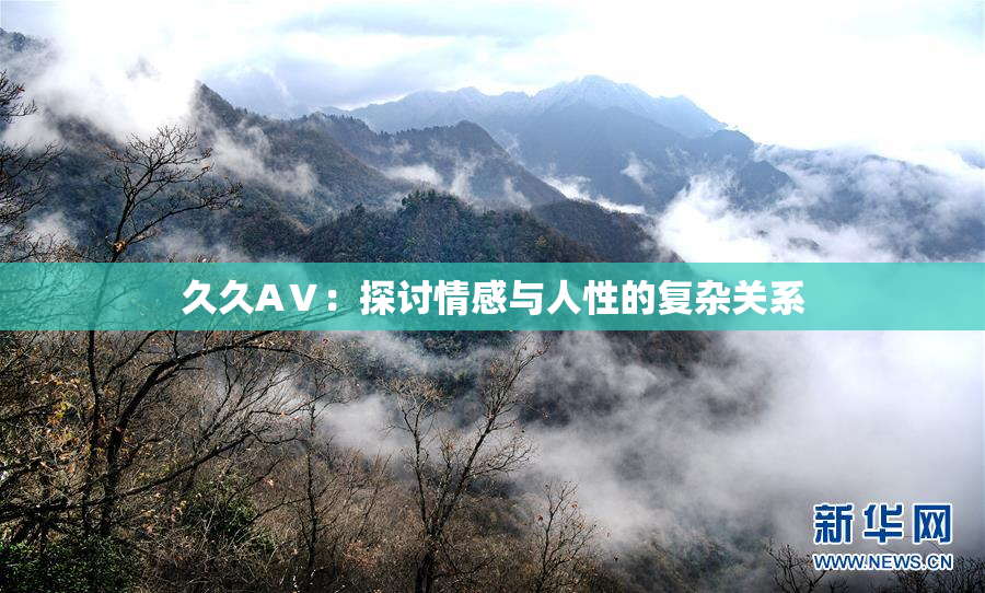 久久AⅤ：探讨情感与人性的复杂关系