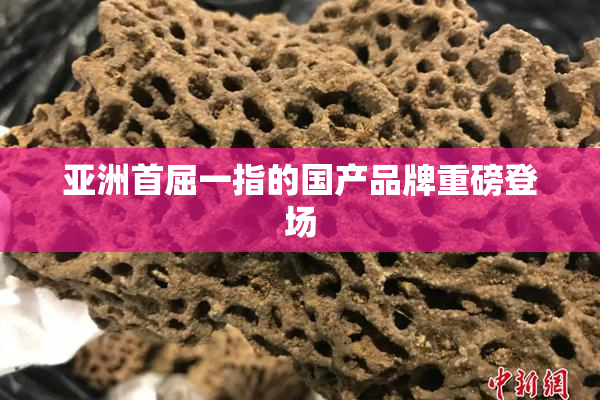 亚洲首屈一指的国产品牌重磅登场