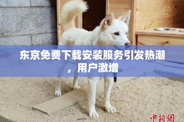 东京免费下载安装服务引发热潮，用户激增