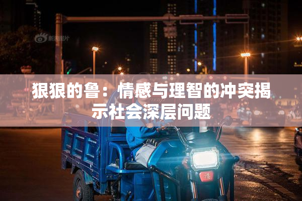 狠狠的鲁：情感与理智的冲突揭示社会深层问题