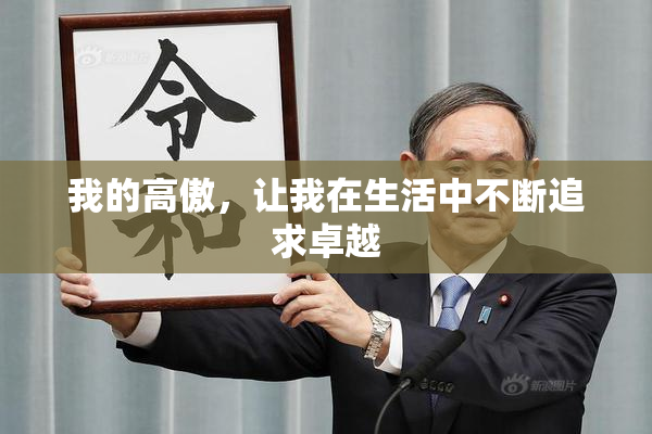 我的高傲，让我在生活中不断追求卓越