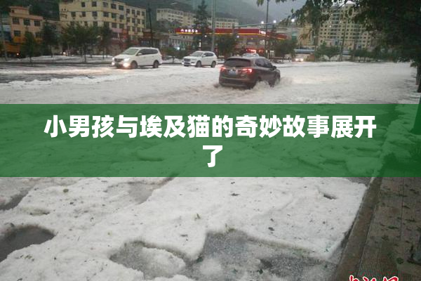 小男孩与埃及猫的奇妙故事展开了