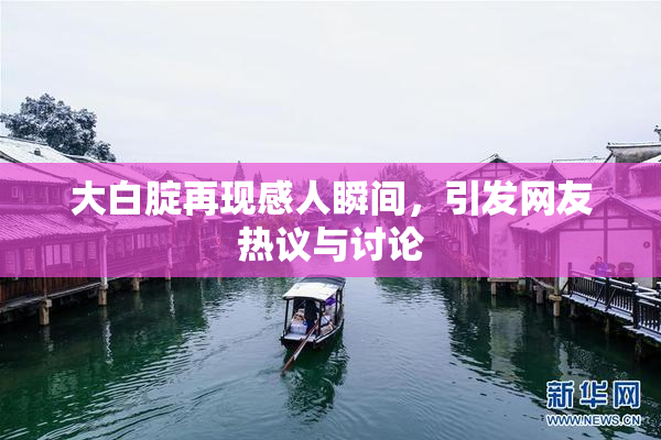 大白腚再现感人瞬间，引发网友热议与讨论