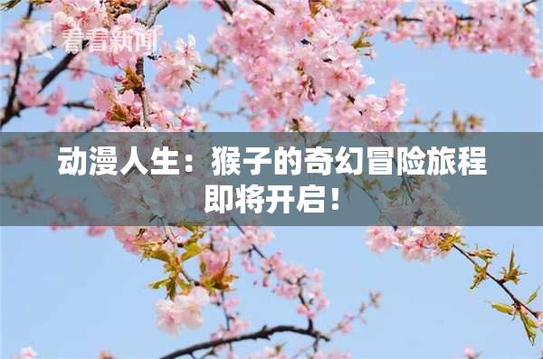 动漫人生：猴子的奇幻冒险旅程即将开启！