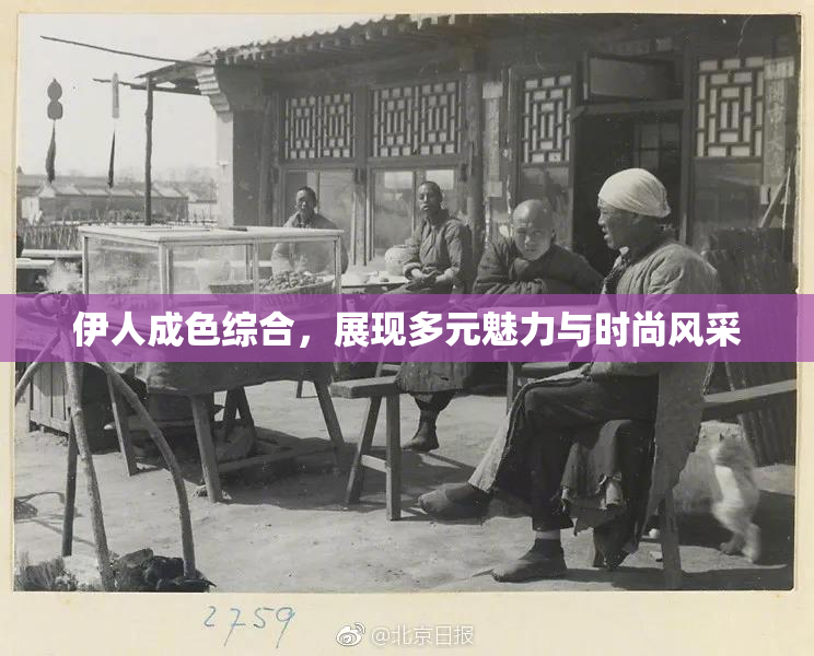 伊人成色综合，展现多元魅力与时尚风采