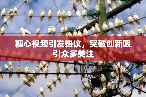 糖心视频引发热议，突破创新吸引众多关注
