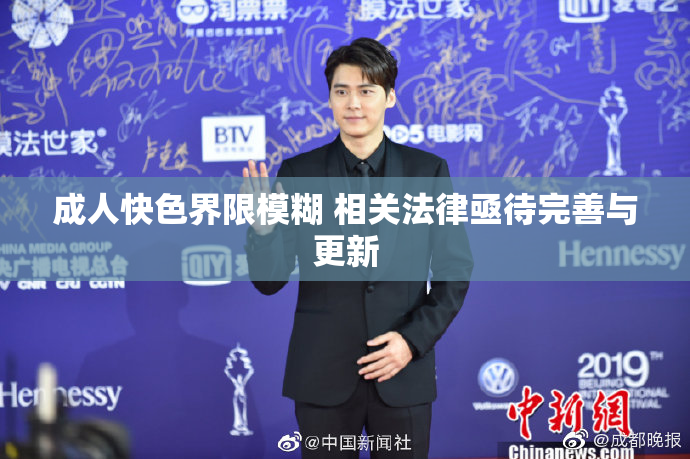 成人快色界限模糊 相关法律亟待完善与更新