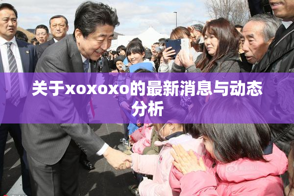 关于xoxoxo的最新消息与动态分析