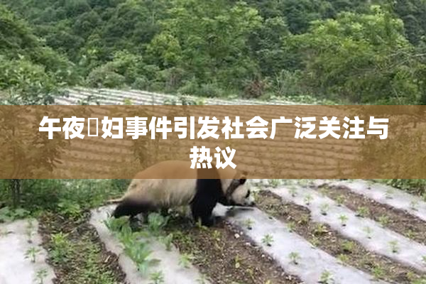 午夜婬妇事件引发社会广泛关注与热议