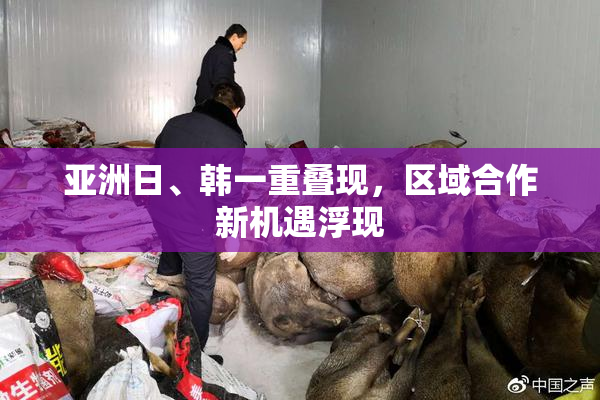 亚洲日、韩一重叠现，区域合作新机遇浮现
