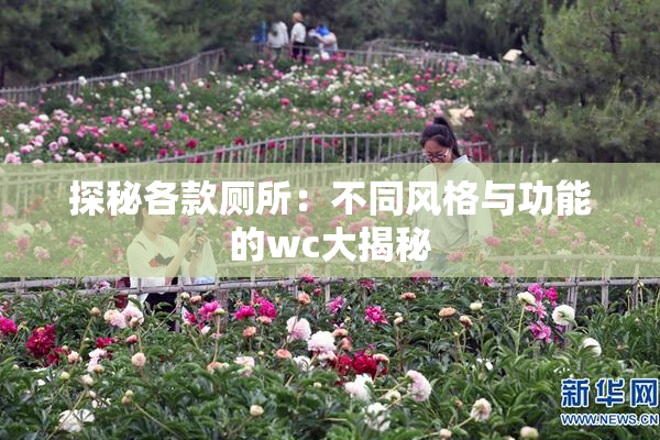 探秘各款厕所：不同风格与功能的wc大揭秘