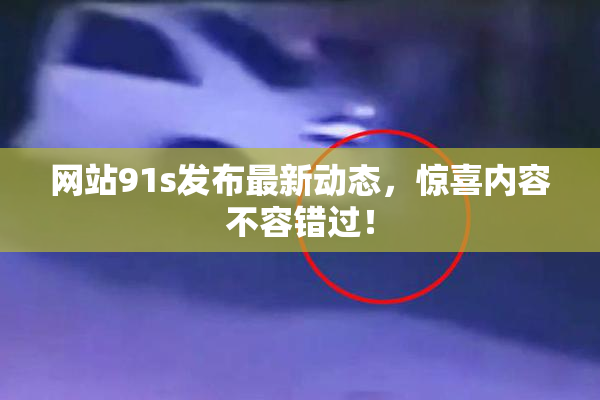 网站91s发布最新动态，惊喜内容不容错过！
