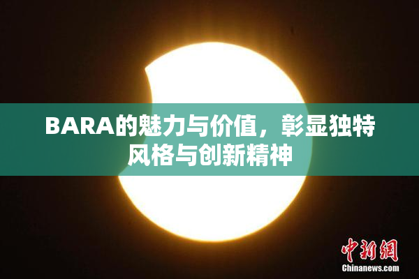 BARA的魅力与价值，彰显独特风格与创新精神