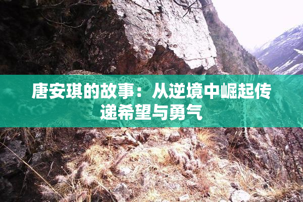 唐安琪的故事：从逆境中崛起传递希望与勇气