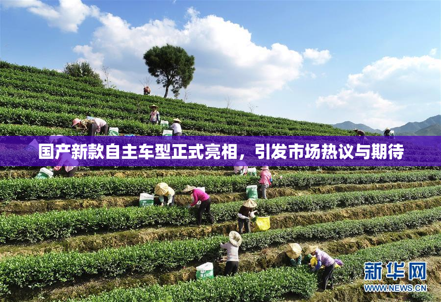 国产新款自主车型正式亮相，引发市场热议与期待