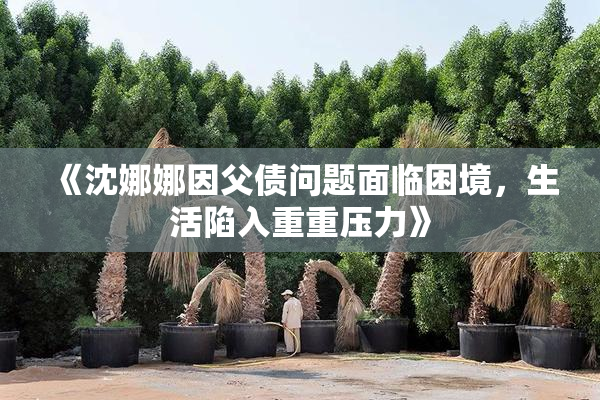 《沈娜娜因父债问题面临困境，生活陷入重重压力》