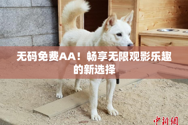 无码免费AA！畅享无限观影乐趣的新选择