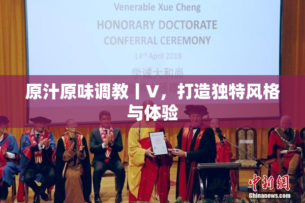 原汁原味调教丨V，打造独特风格与体验