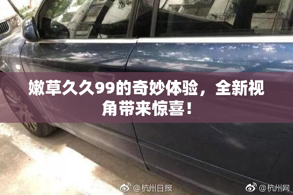 嫩草久久99的奇妙体验，全新视角带来惊喜！