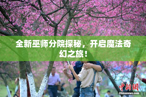 全新巫师分院探秘，开启魔法奇幻之旅！