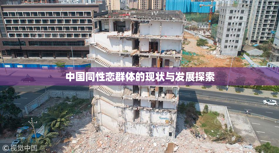 中国同性恋群体的现状与发展探索