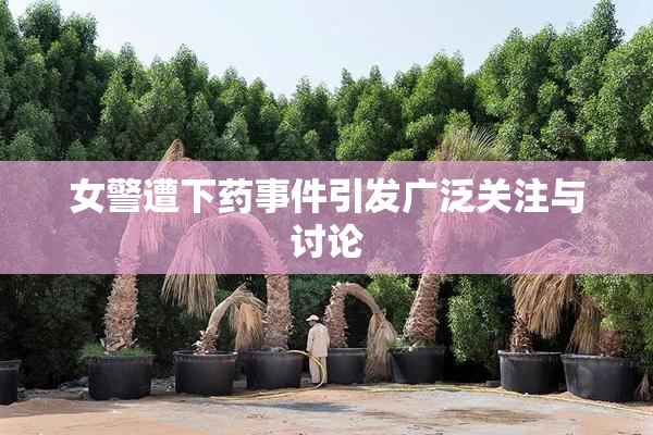 女警遭下药事件引发广泛关注与讨论