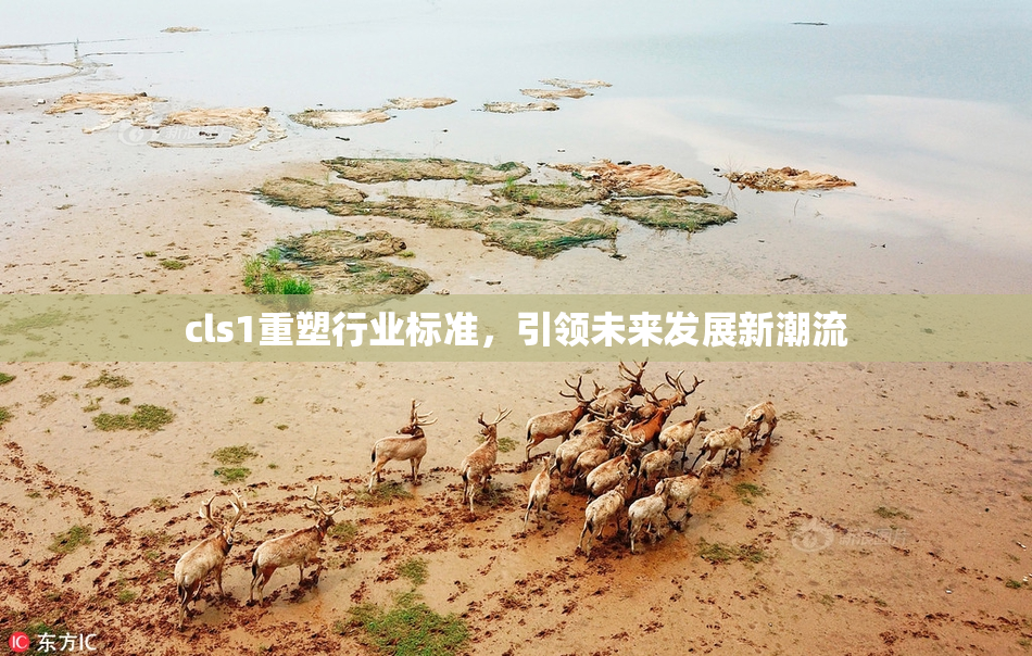 cls1重塑行业标准，引领未来发展新潮流