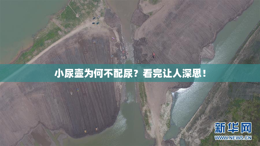 小尿壶为何不配尿？看完让人深思！