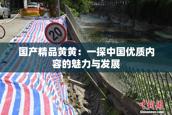 国产精品黄黄：一探中国优质内容的魅力与发展