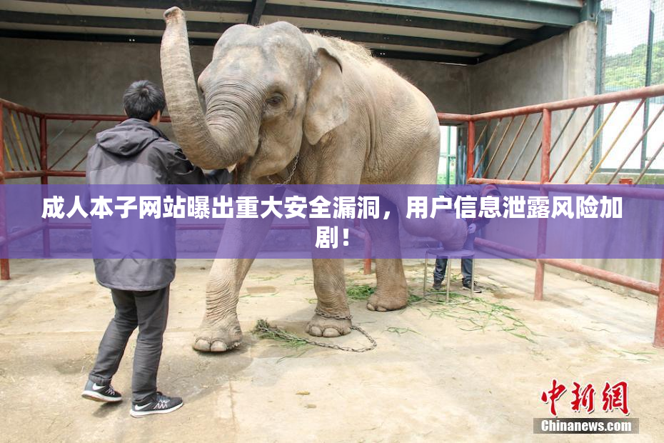 成人本子网站曝出重大安全漏洞，用户信息泄露风险加剧！