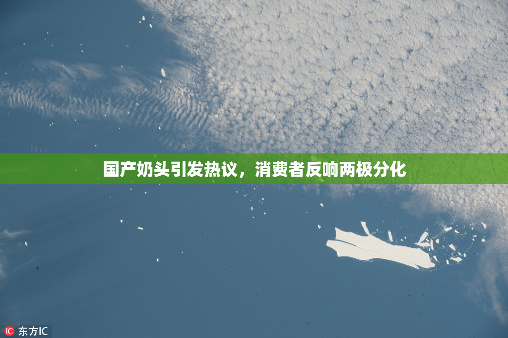 国产奶头引发热议，消费者反响两极分化