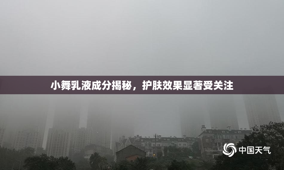 小舞乳液成分揭秘，护肤效果显著受关注