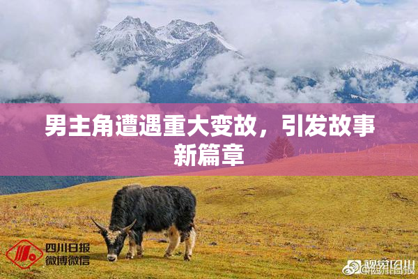 男主角遭遇重大变故，引发故事新篇章
