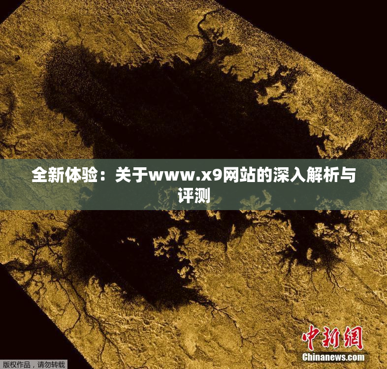 全新体验：关于www.x9网站的深入解析与评测