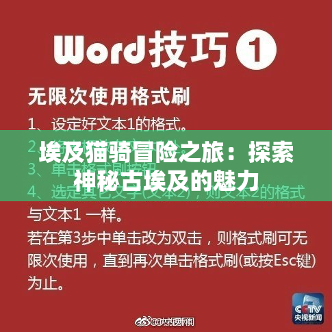 埃及猫骑冒险之旅：探索神秘古埃及的魅力