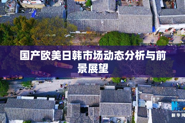 国产欧美日韩市场动态分析与前景展望