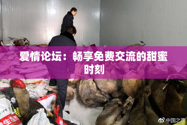 爱情论坛：畅享免费交流的甜蜜时刻