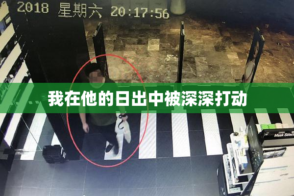 我在他的日出中被深深打动