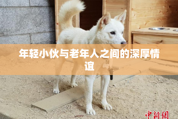 年轻小伙与老年人之间的深厚情谊