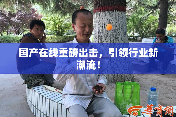 国产在线重磅出击，引领行业新潮流！