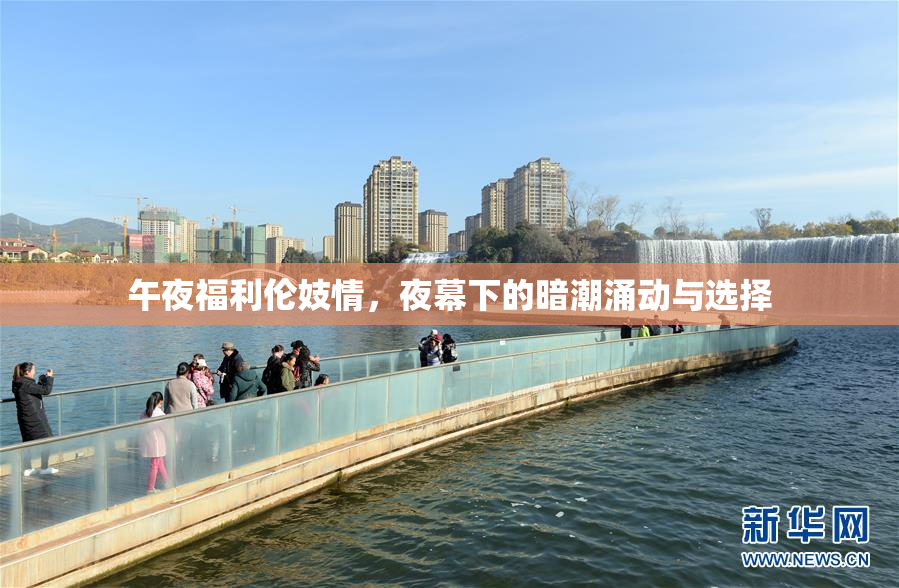 午夜福利伦妓情，夜幕下的暗潮涌动与选择