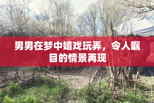 男男在梦中嬉戏玩弄，令人瞩目的情景再现