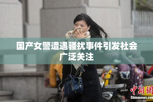 国产女警遭遇骚扰事件引发社会广泛关注