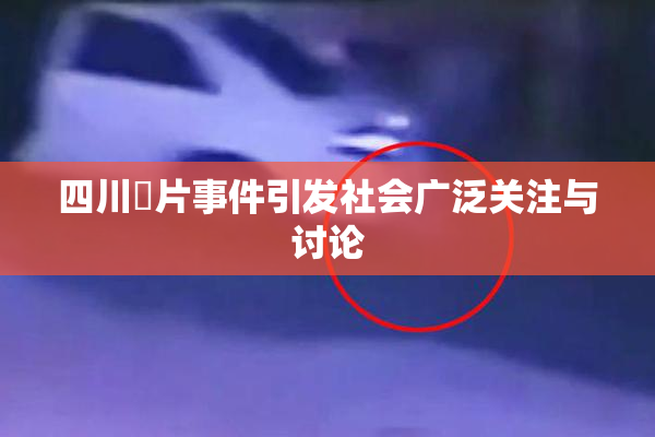 四川婬片事件引发社会广泛关注与讨论