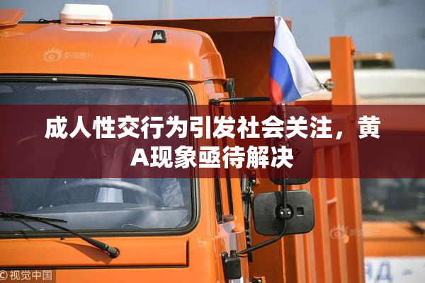 成人性交行为引发社会关注，黄A现象亟待解决