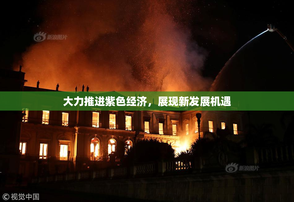 大力推进紫色经济，展现新发展机遇